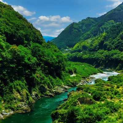 徳島　流しそうめん　つるぎ町