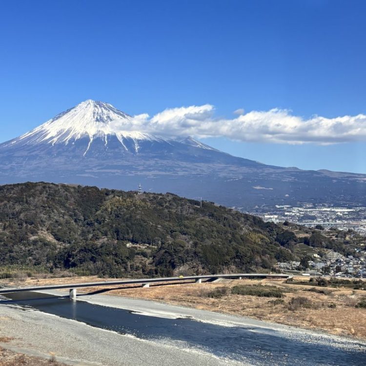 静岡 自然