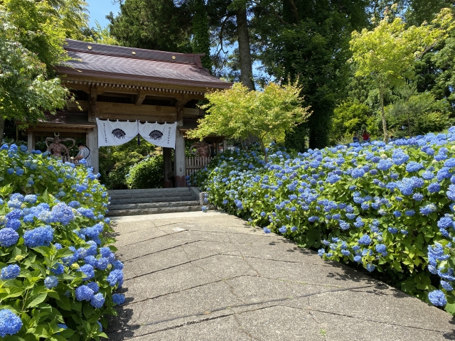 秋田　パワースポット