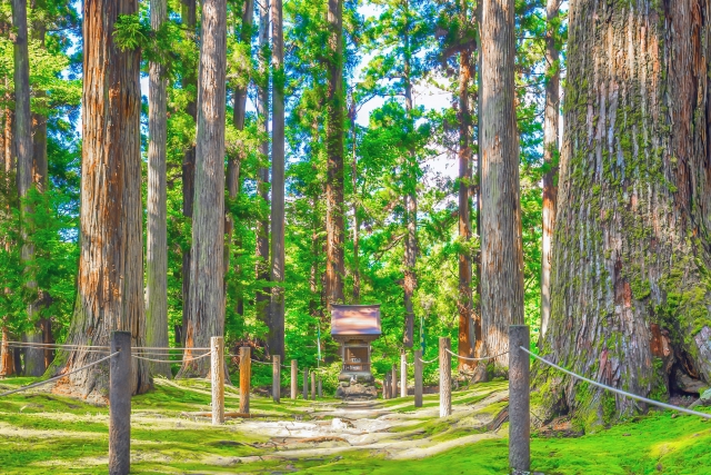 福井 縁結び