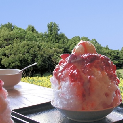 島根かき氷