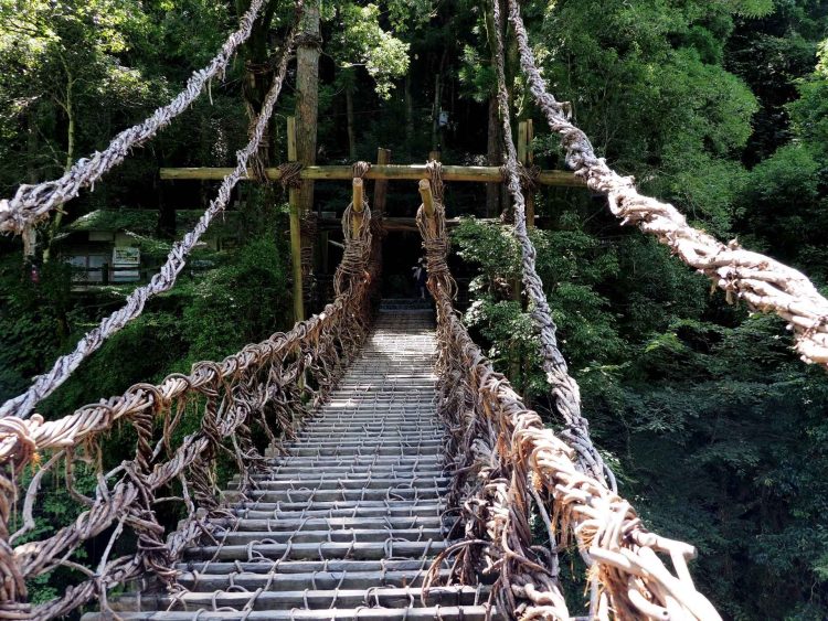徳島 避暑地 祖谷渓 大歩危 ドライブ