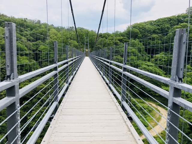 島根県鬼の舌震
