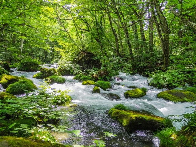 全国の夏絶景 夏デート
