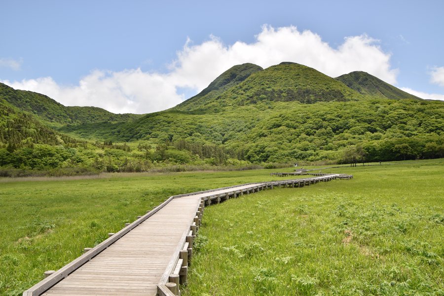 大分 避暑地 タデ原湿原