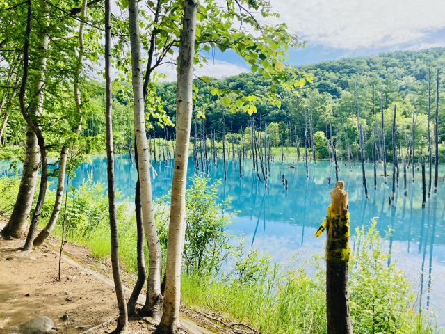 全国の夏絶景 夏デート