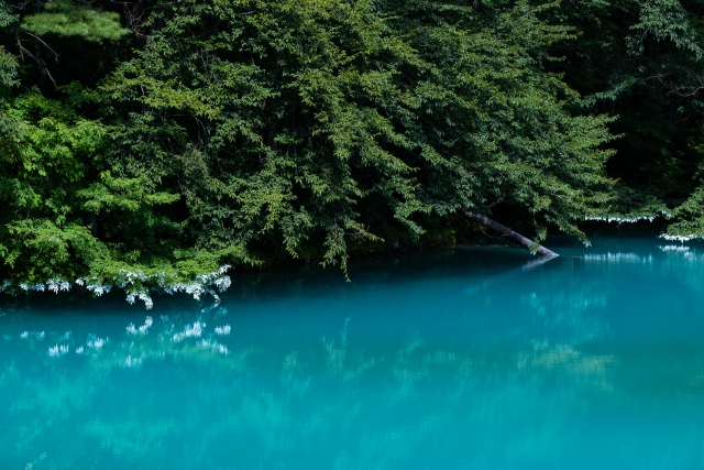 五色沼　青沼