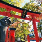 【長野 神社】長野県民からおすすめする！厄除け・厄払い＆安産祈願神社８選