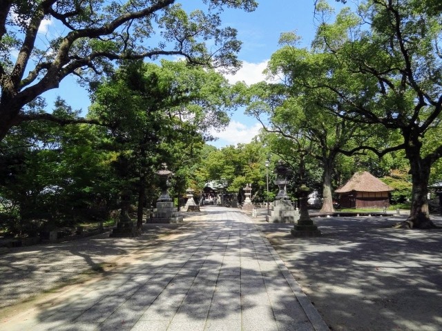 木々に囲まれた神社の参道